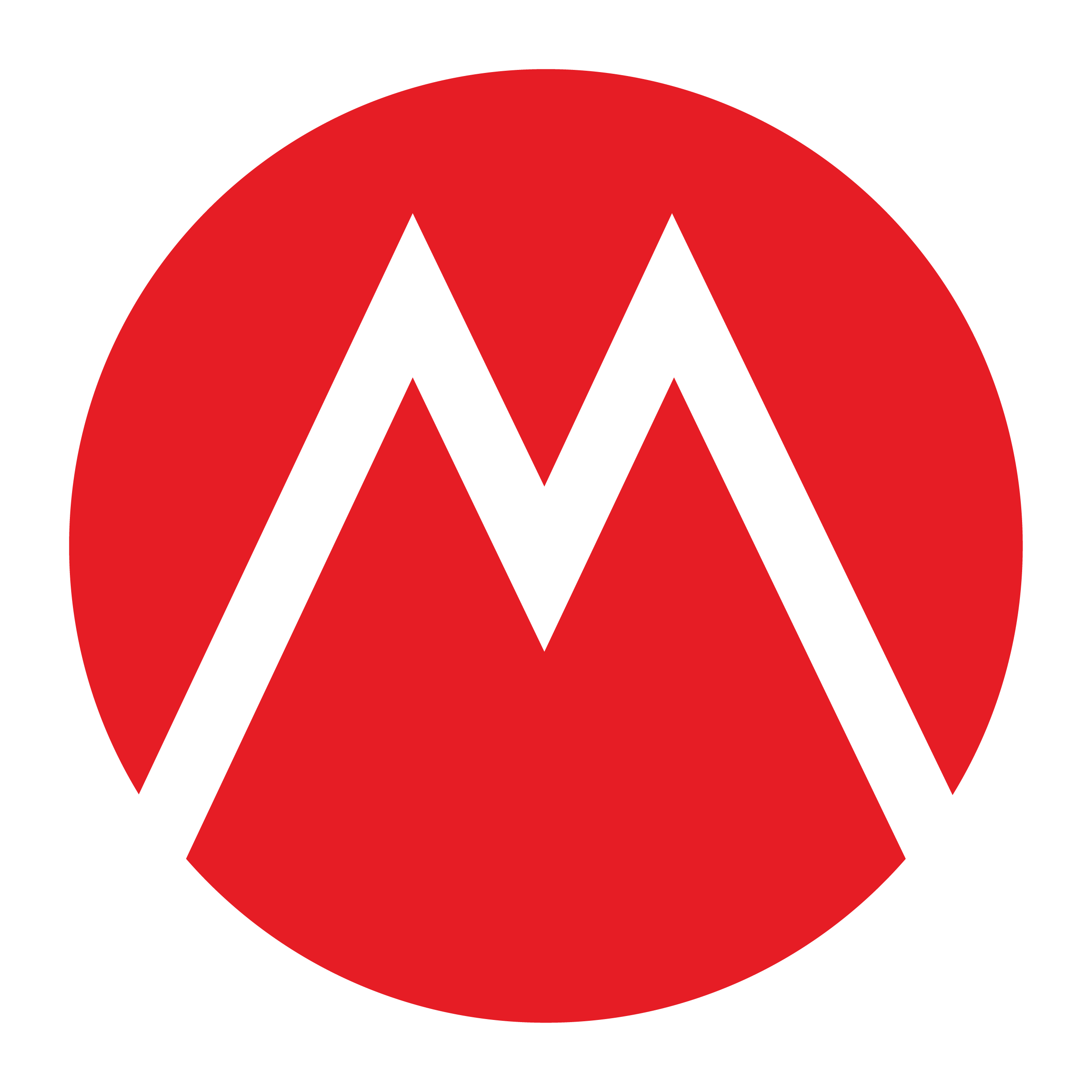 Logo du site